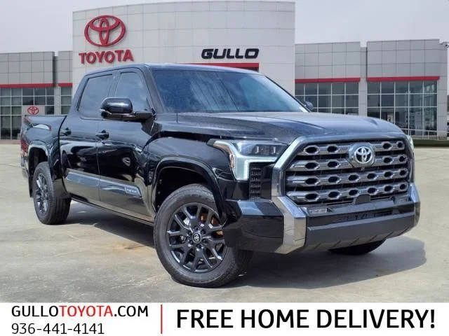 New 2025 Black Toyota Platinum image 1
