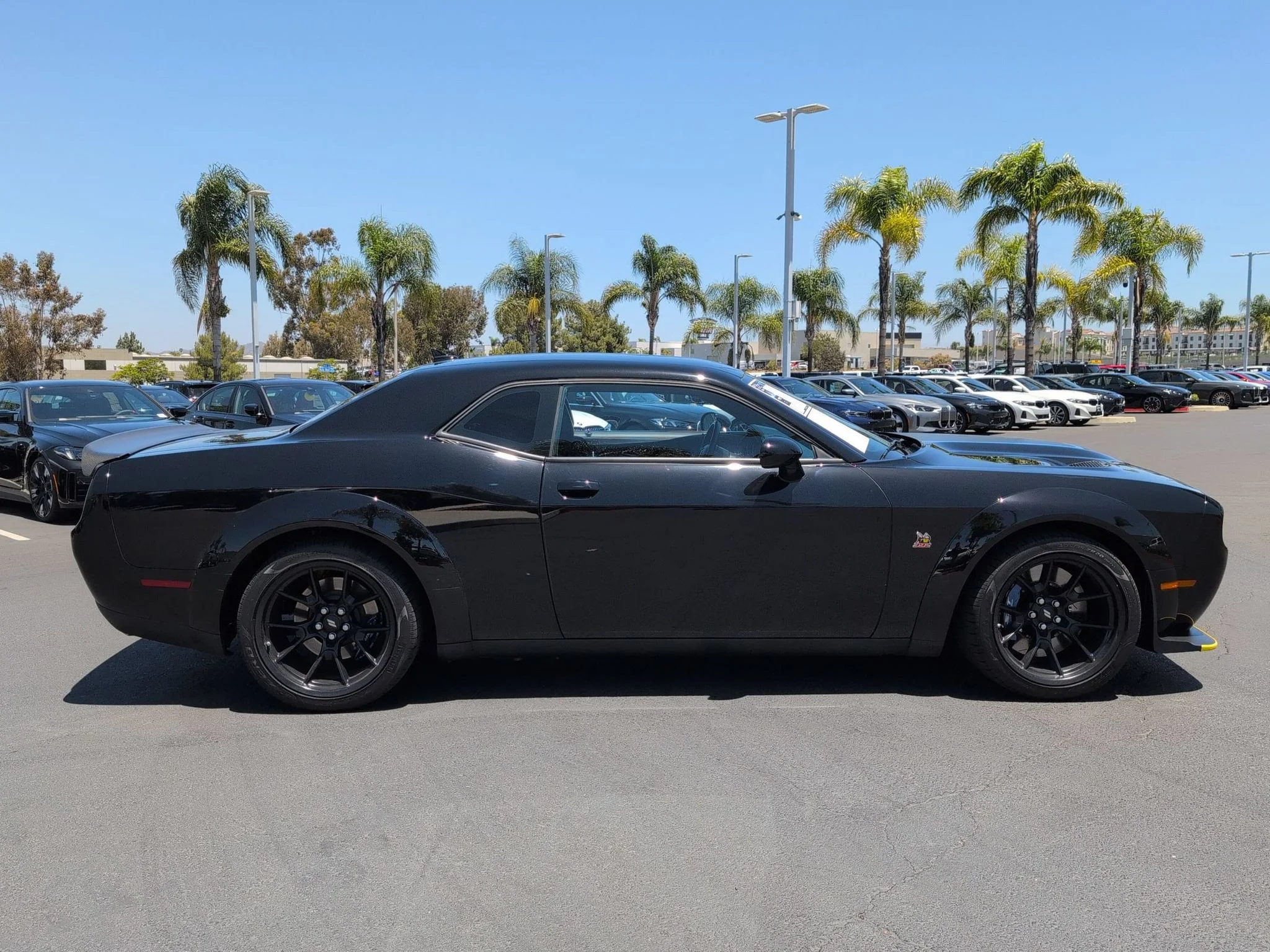 Used 2023 Pitch Black Clearcoat Dodge R/T Scat Pack Widebody image 9