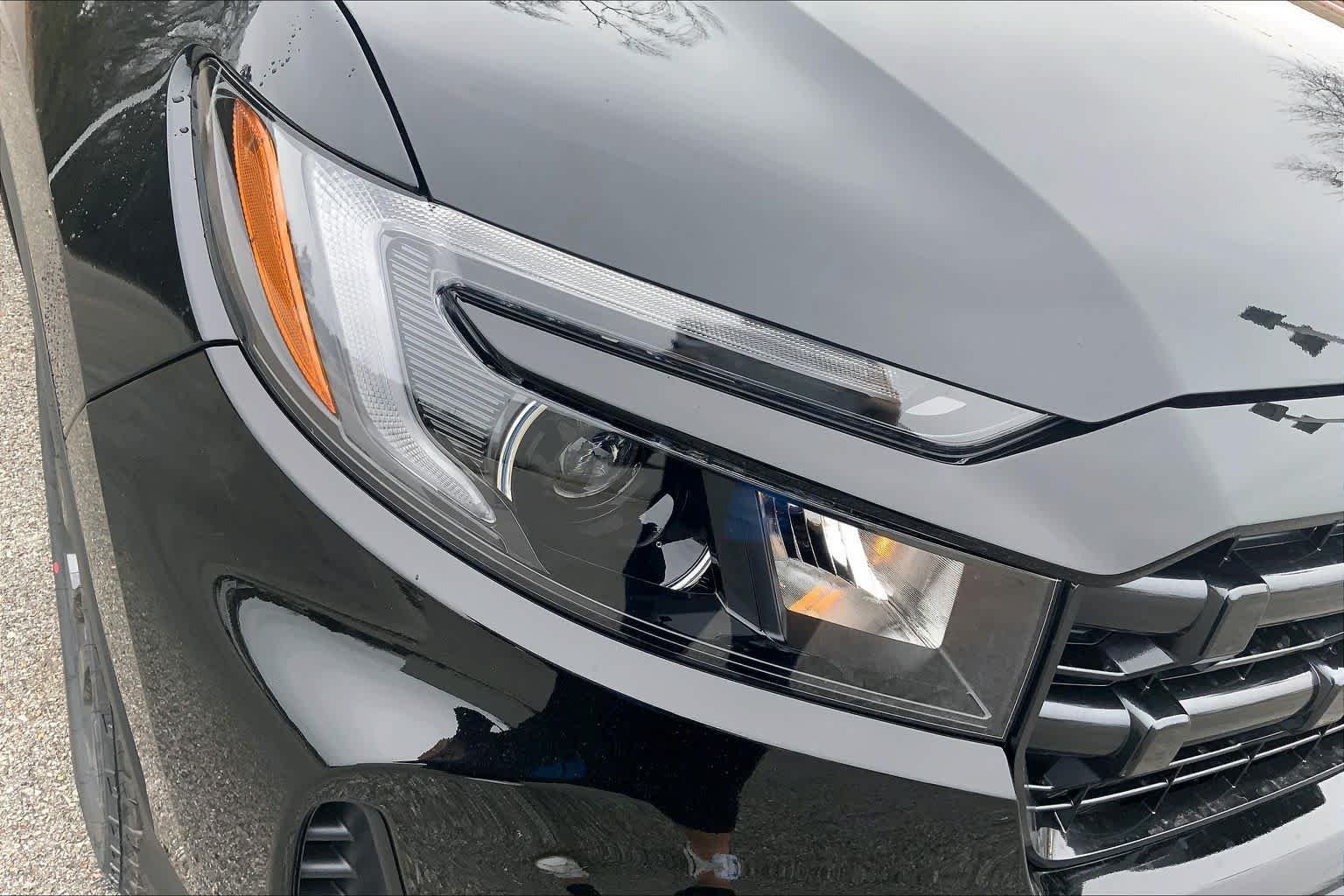 New 2026 Crystal Black Pearl Honda Sport image 13