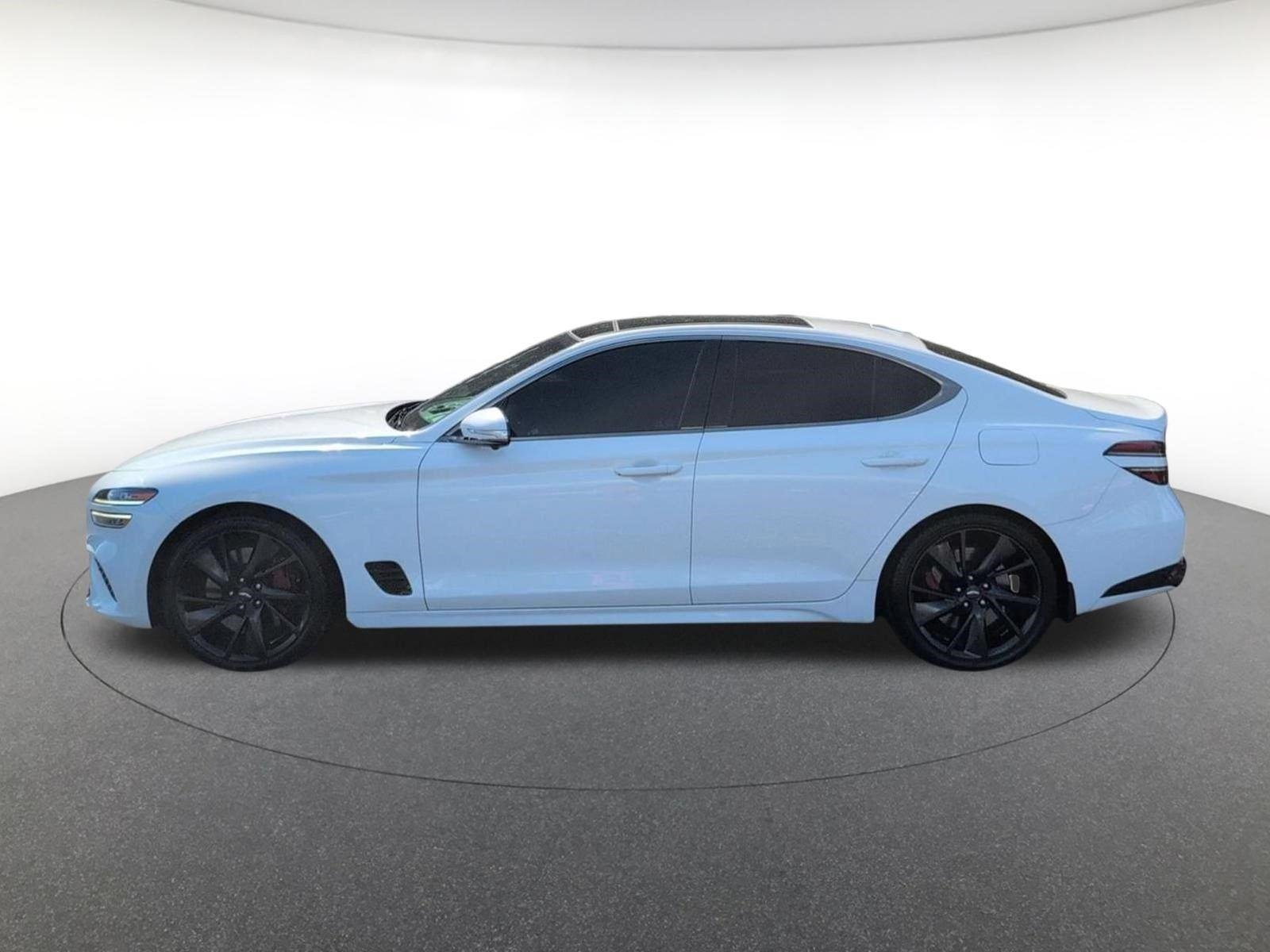 Used 2022 Alta White Genesis 3.3T image 5