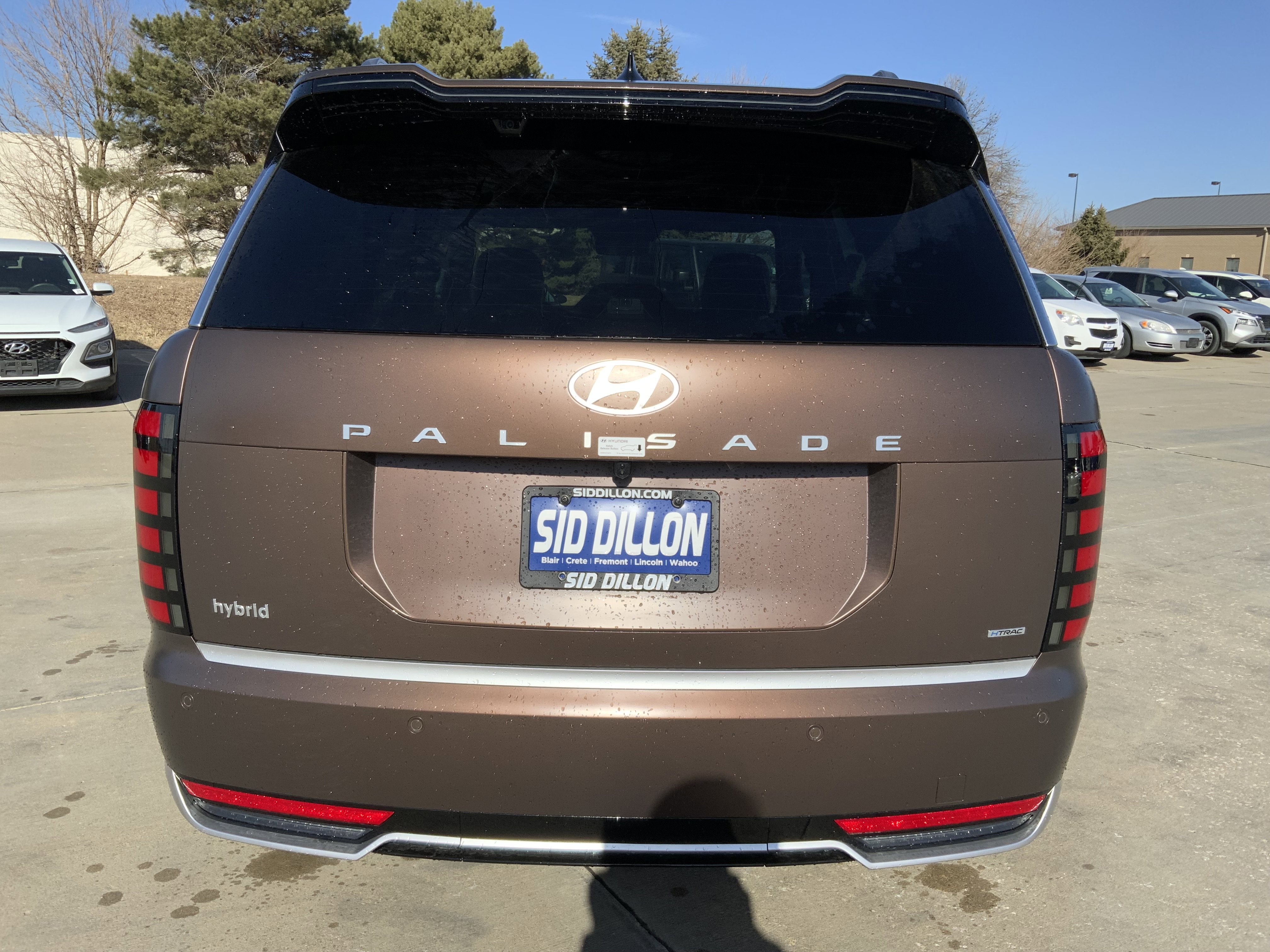New 2026 Earthy Brass Matte Hyundai Calligraphy image 4