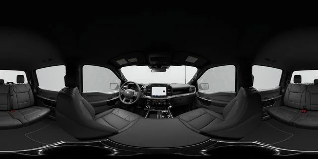 New 2026 Gray Ford STX image 8