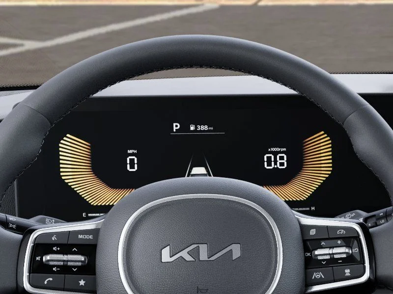 New 2026 Panthera Metal Kia EX image 21