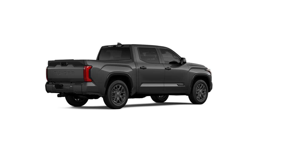 New 2026 Magnetic Gray Metallic Toyota Platinum image 10