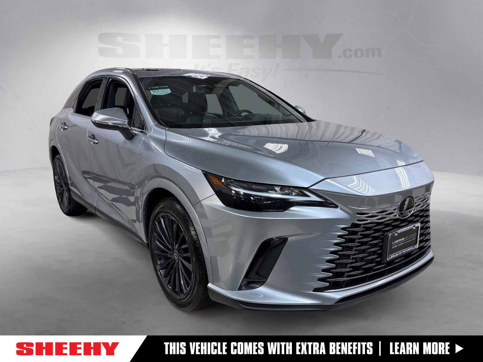 2024 Lexus RX