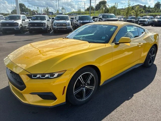Used 2024 Yellow Ford EcoBoost image 3