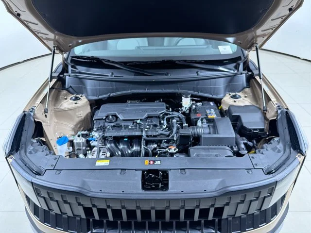 New 2027 TERRAIN BROWN Kia LX image 12