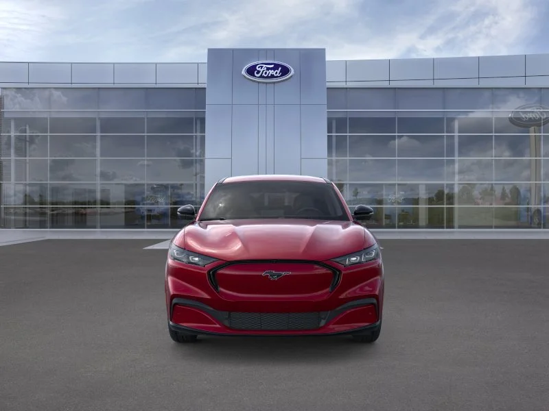 New 2025 Molten Magenta Metallic Tinted Clearcoat Ford Premium image 6