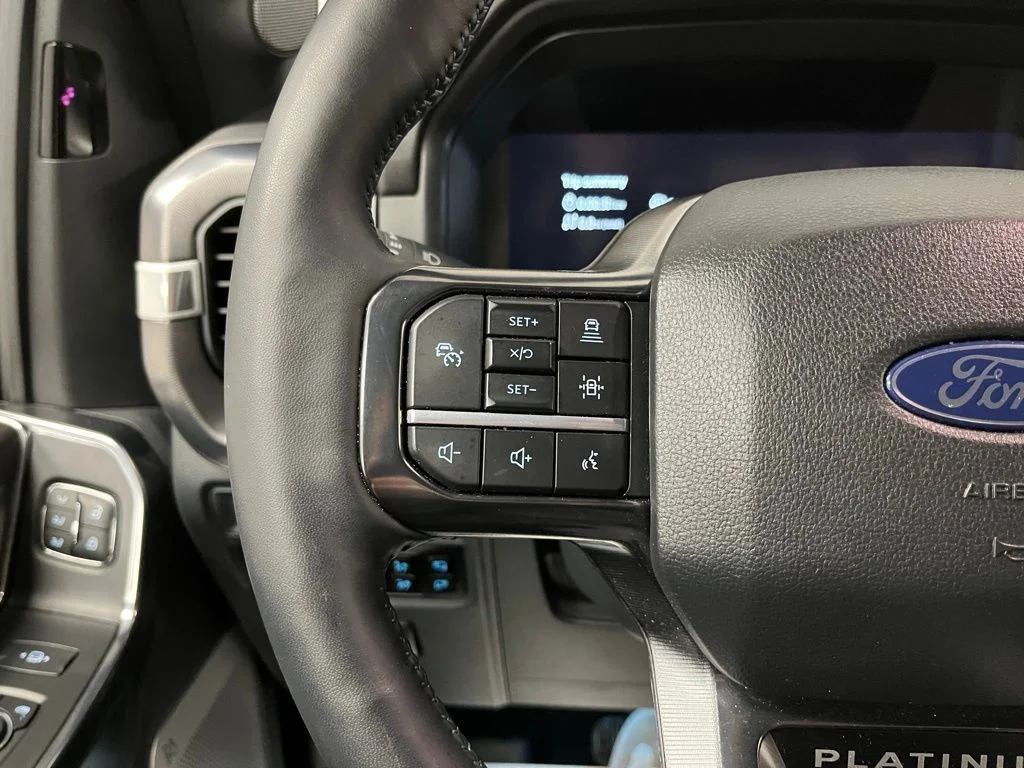 Used 2025 Gray Ford Platinum image 29