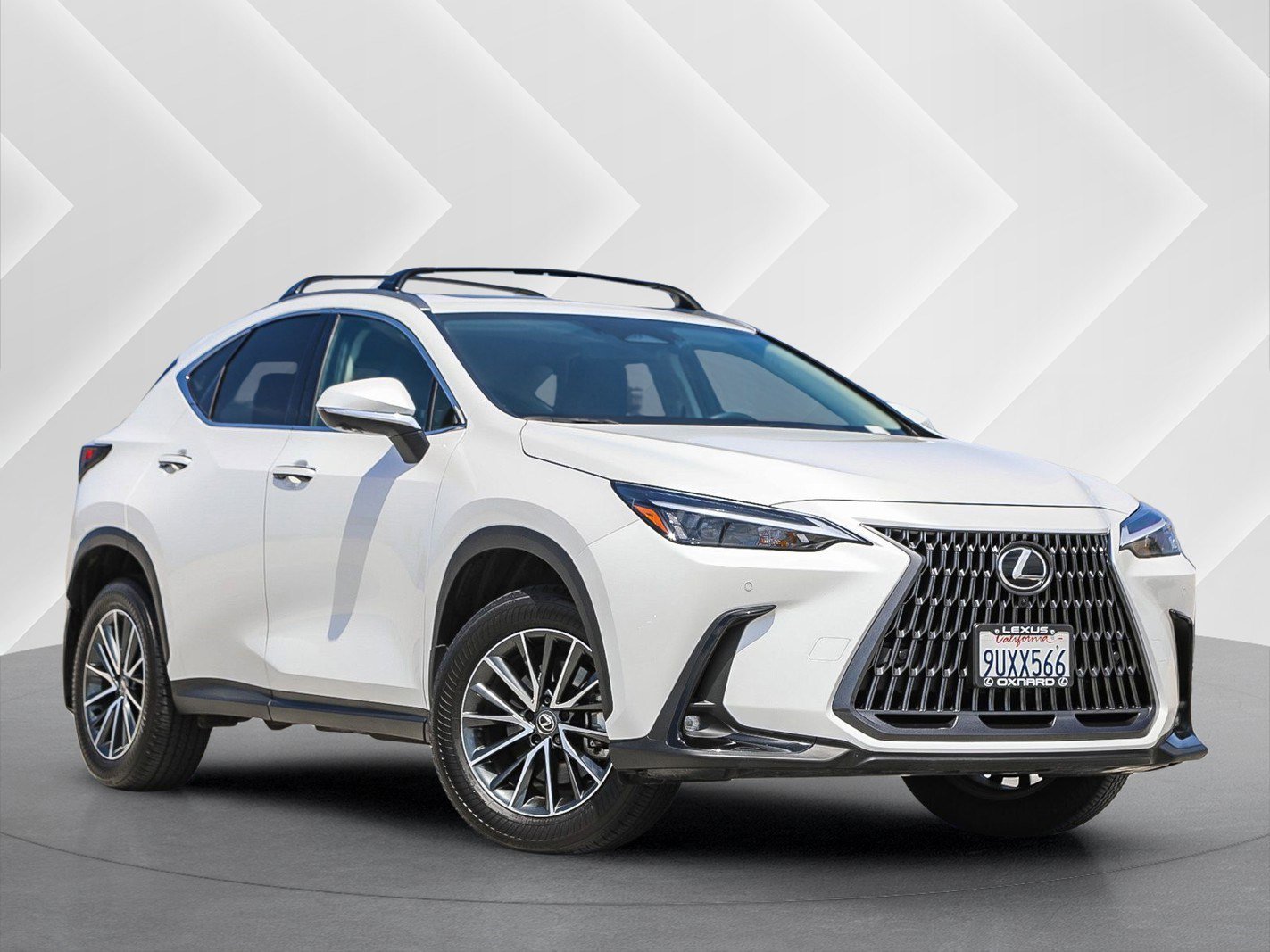 2025 Lexus NX 350h 350h Premium AWD's photo