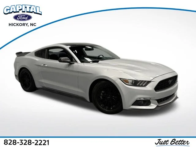 Used 2016 Silver Ford V6 image 1