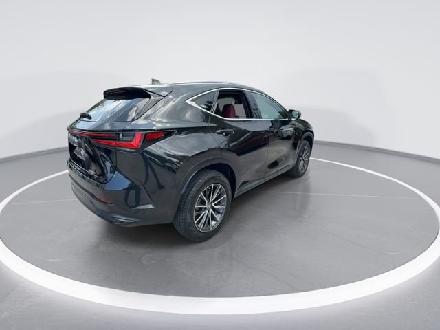 2023 Lexus NX 250 - Photo 8