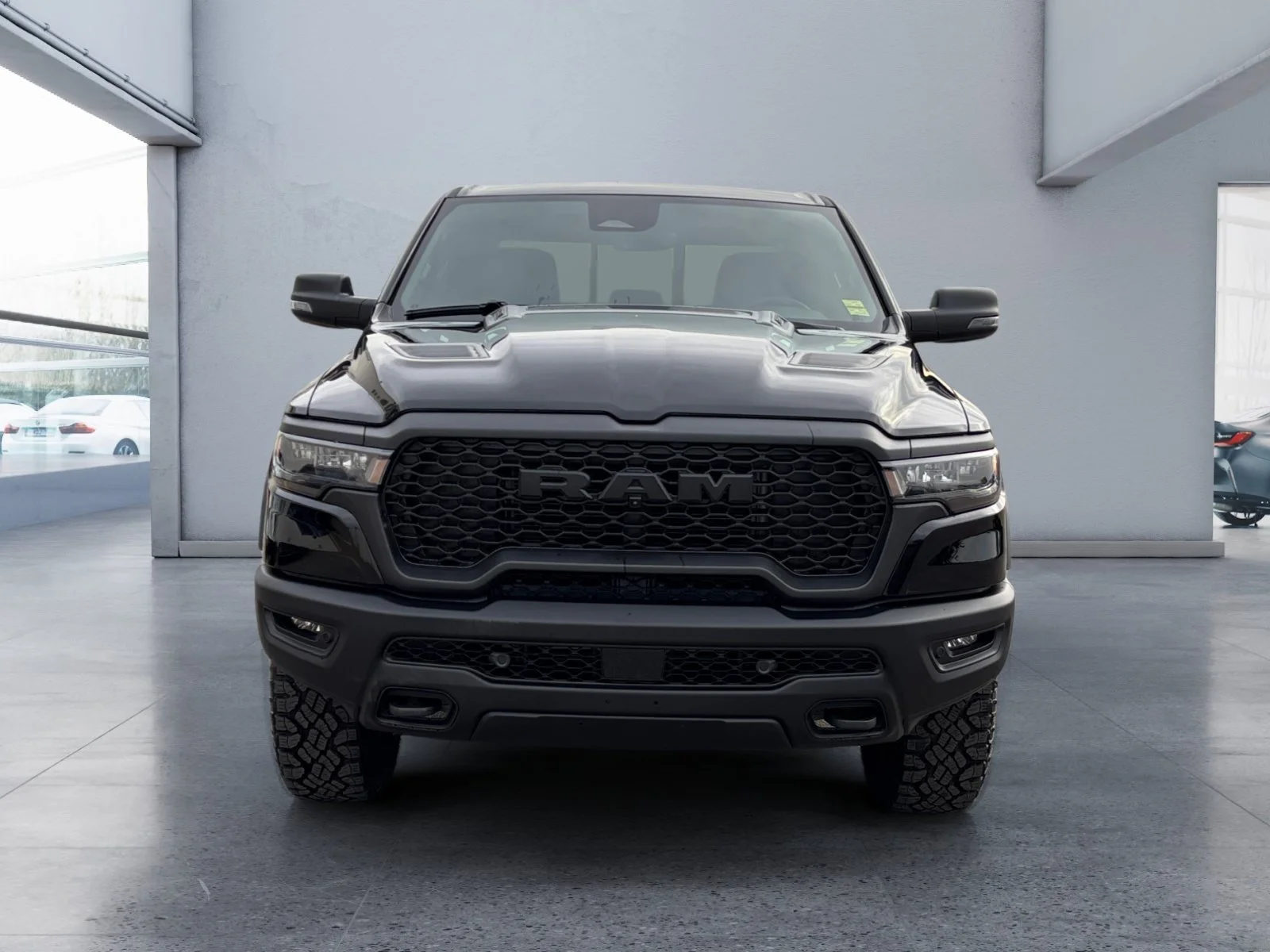 New 2027 Diamond Black Crystal Pearl Ram Rebel image 8