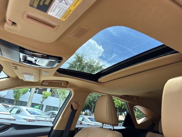 2025 Lexus NX 250 - Photo 22