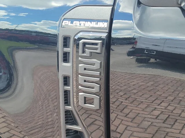 New 2026 Black Metallic Ford Platinum image 9