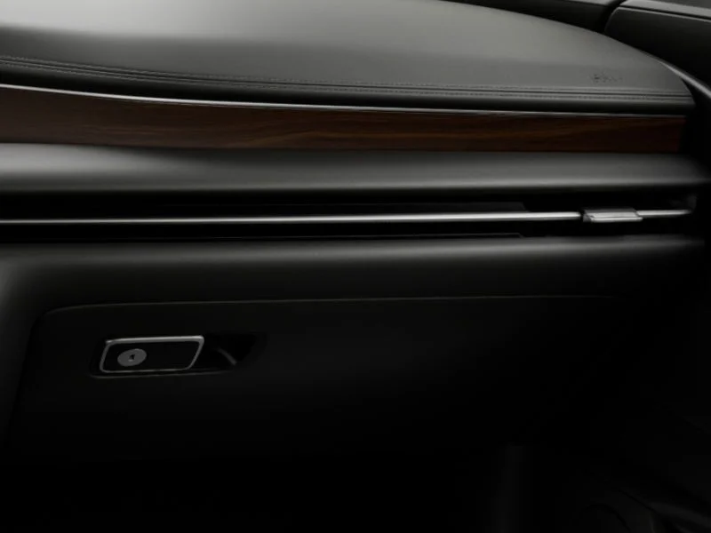New 2026 Vik Black Genesis 2.5T image 25