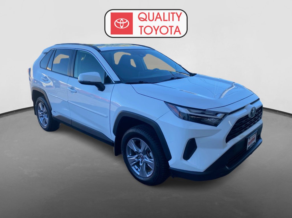 Used 2025 Toyota RAV4 XLE with VIN JTMRWRFV0SD313526 for sale in Fergus Falls, Minnesota