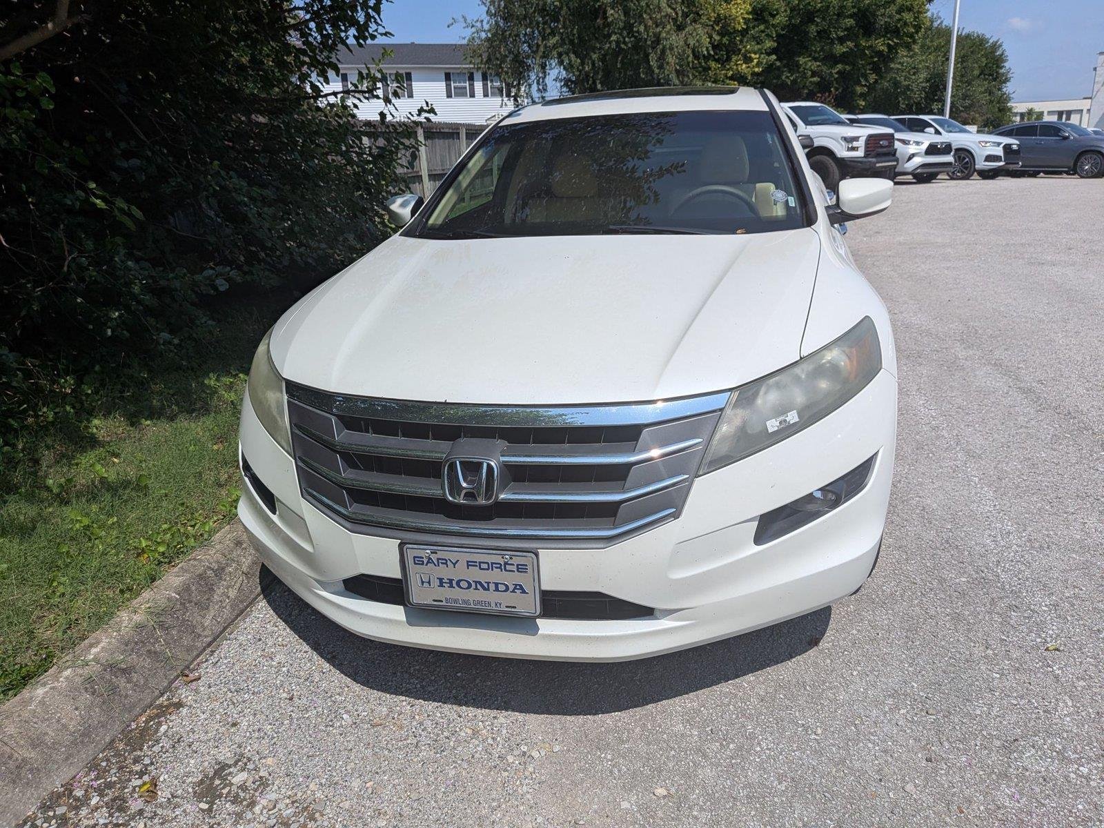 Used 2010 WHITE DIAMOND PEARL Honda EXL image 2