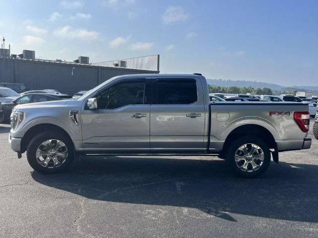 Used 2021 Silver Ford Platinum image 7