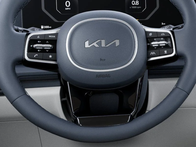 New 2026 Panthera Metal Kia SX image 27