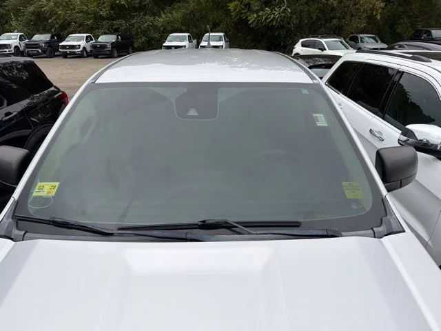 Used 2019 Silver Ford XLT image 8