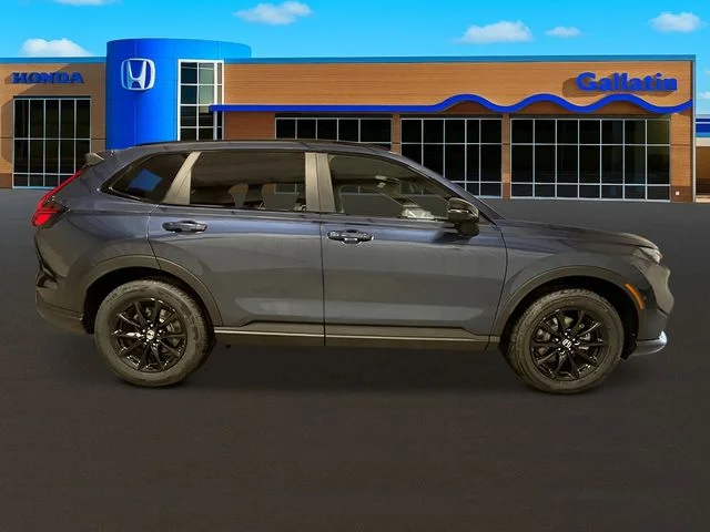 New 2026 Blue Honda Sport-L image 8