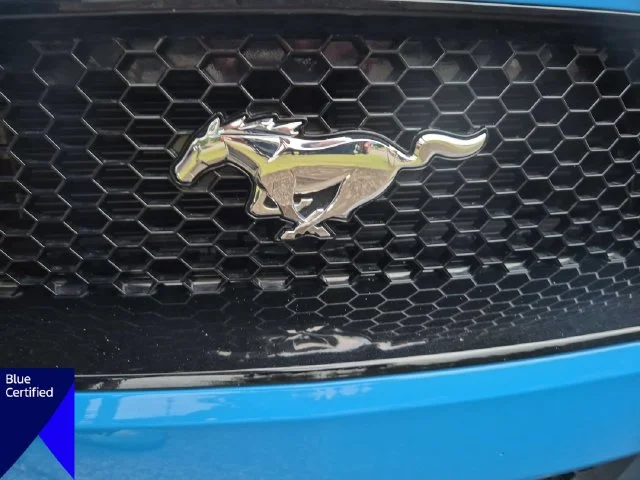 Used 2022 Blue Ford GT image 36