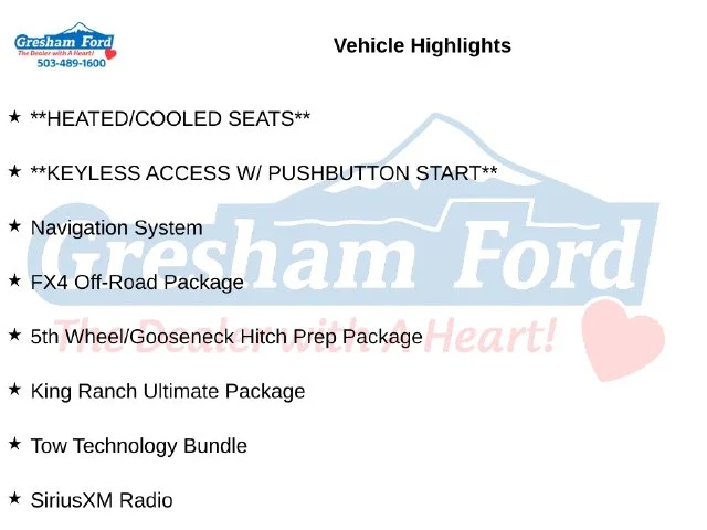 Certified Used 2019 Blue Ford King Ranch image 9