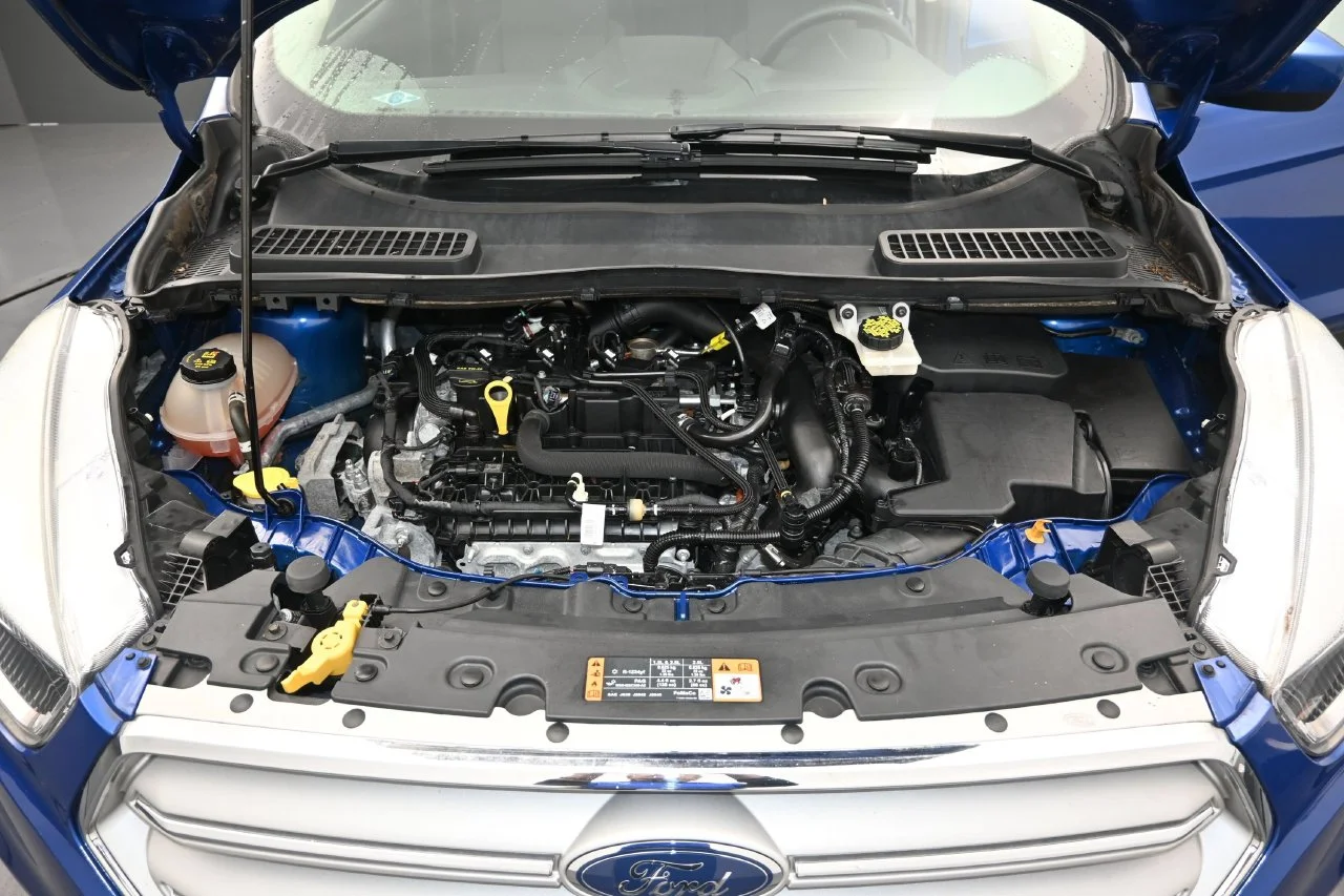 Certified Used 2019 Lightning Blue Ford SE image 18
