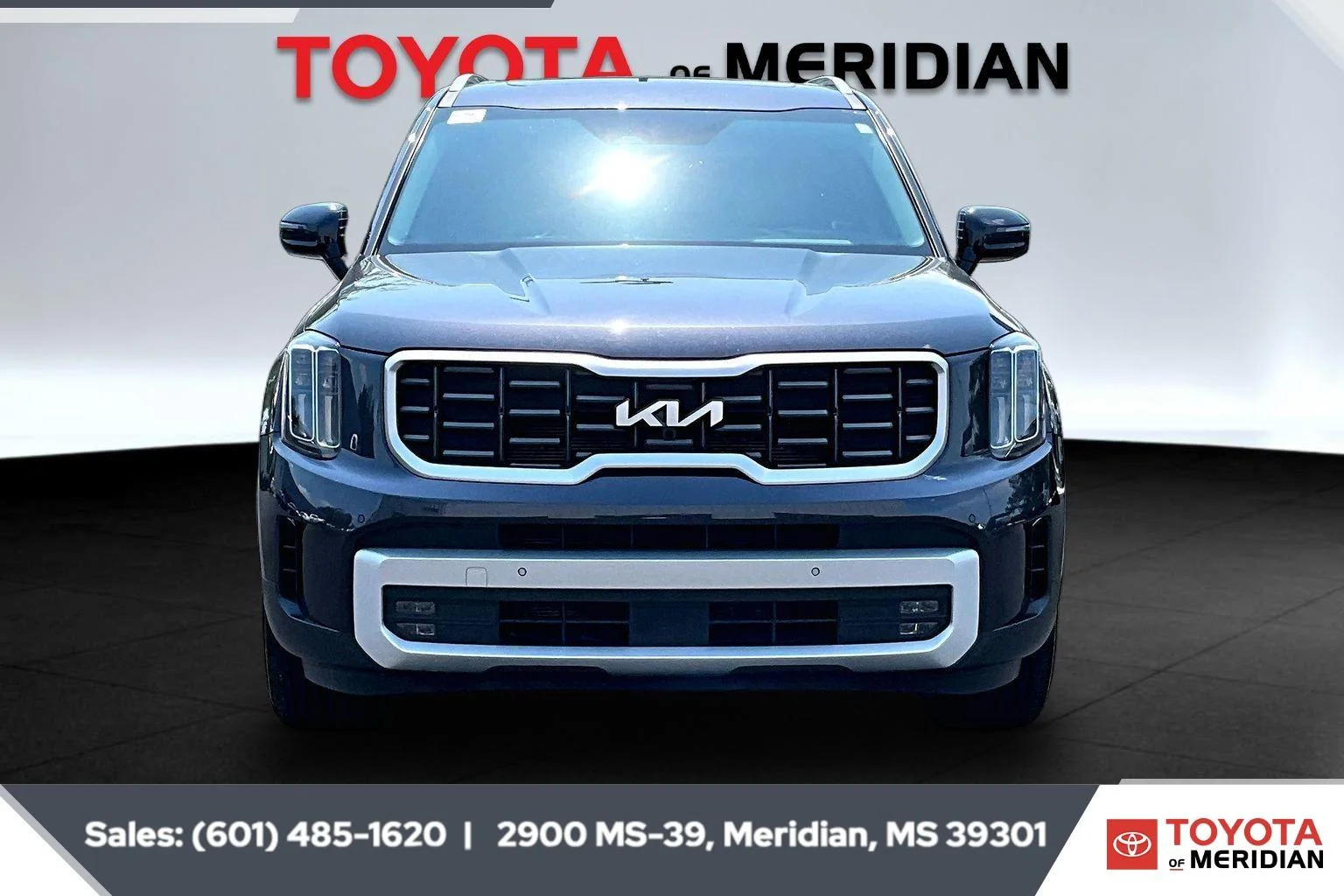Used 2025 Panthera Metal Kia SX image 3