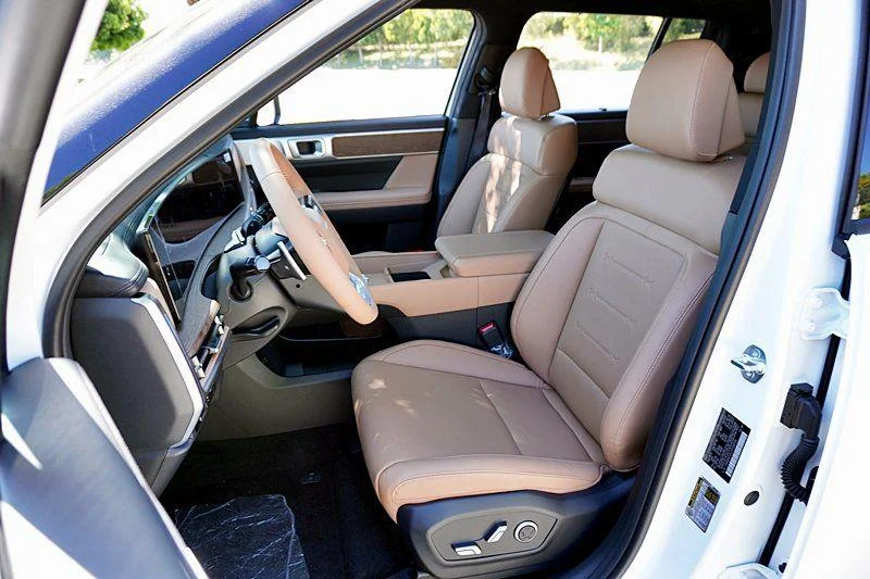 2025 Hyundai Santa Fe Limited - Photo 19