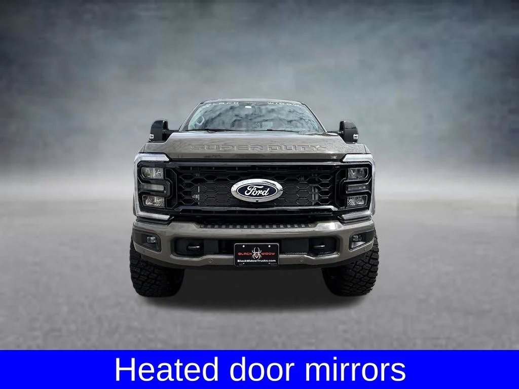 New 2027 Marsh Gray Metallic Ford BLACK WIDOW image 9