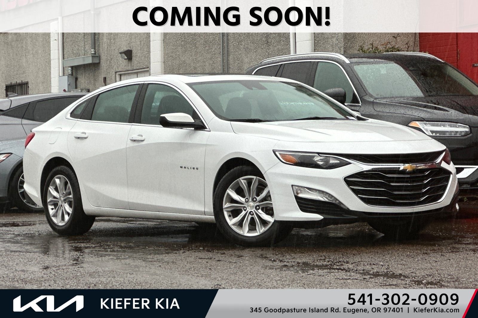 2024 Chevrolet Malibu 1LT's photo