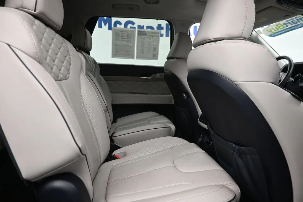 Used 2022 Red Hyundai Calligraphy image 10