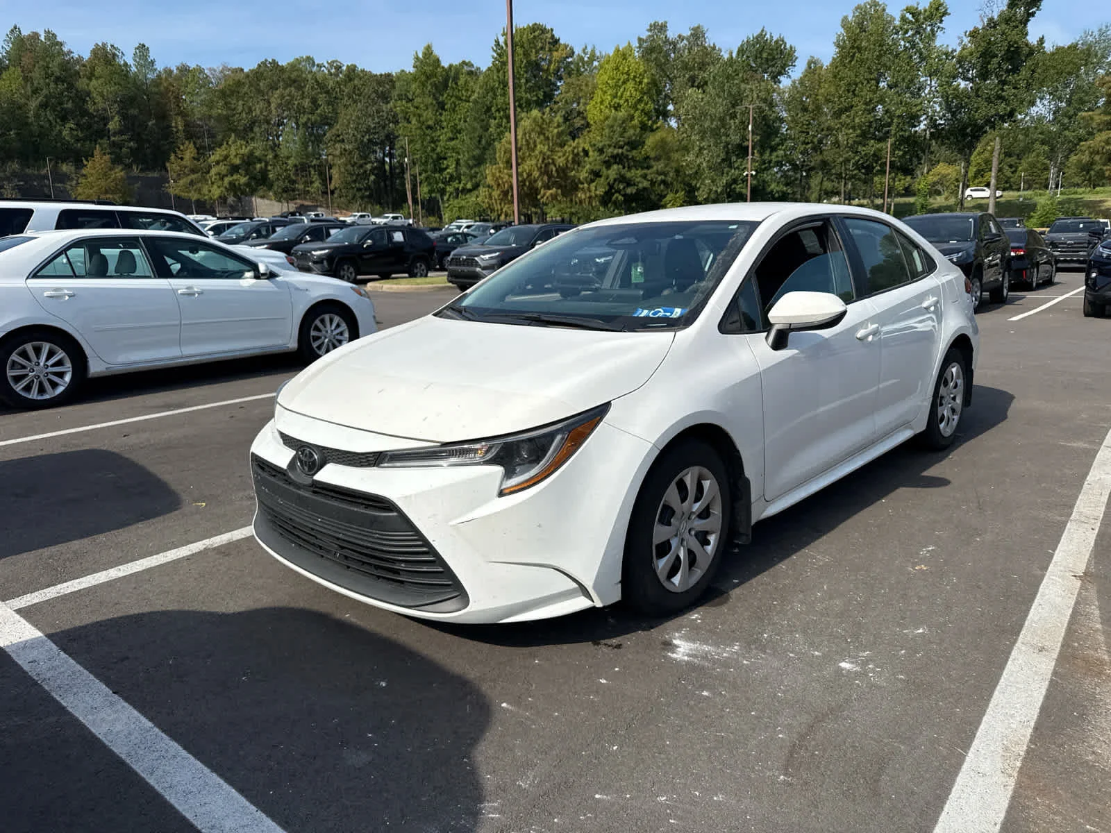 Used 2024 Ice Cap Toyota LE image 5