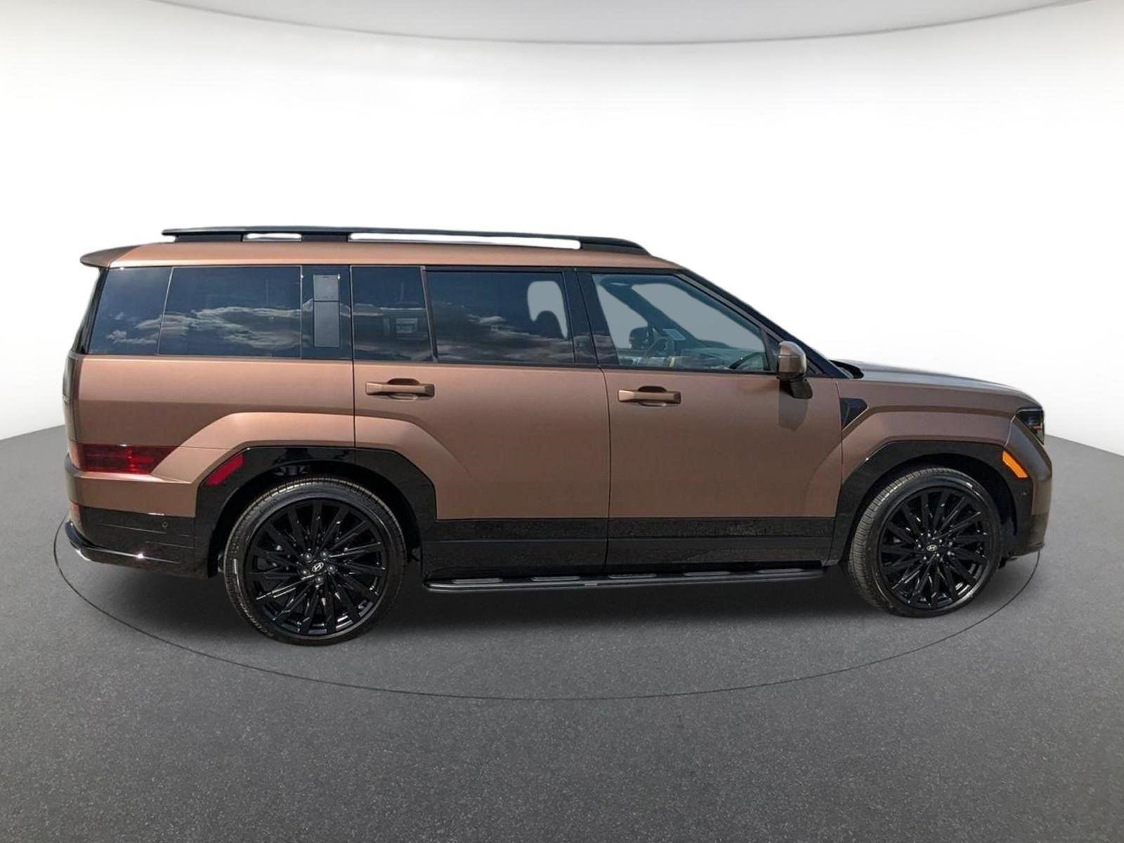 New 2026 Earthy Brass Matte Hyundai Calligraphy image 3