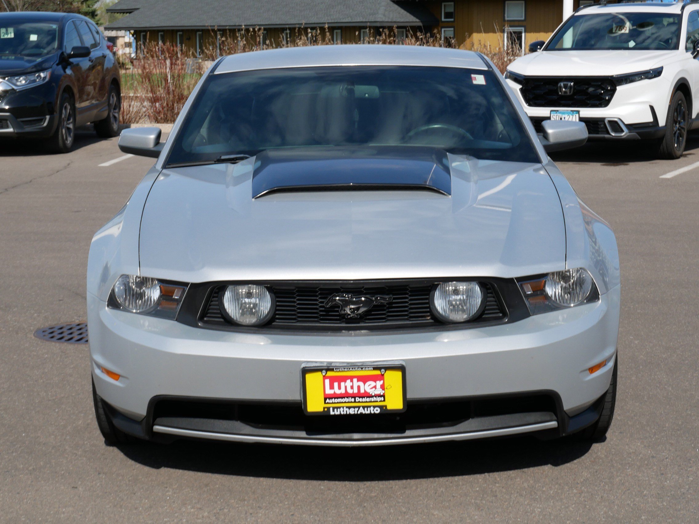 Used 2010 Ford Mustang GT Premium with VIN 1ZVBP8CH4A5156466 for sale in Hopkins, MN