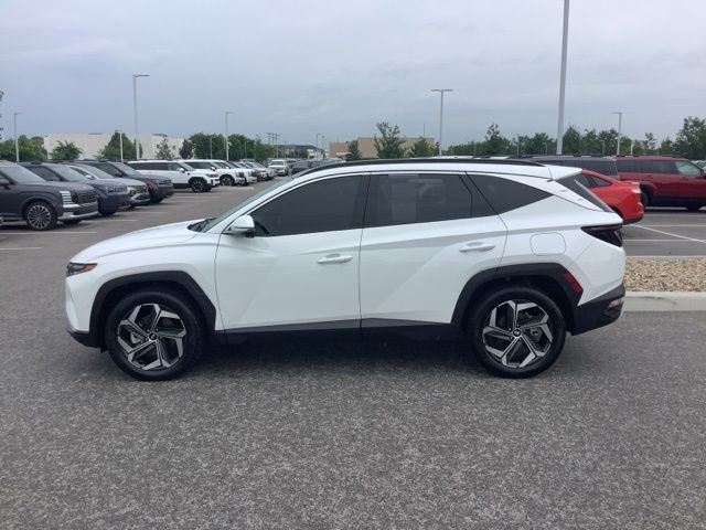 Used 2024 White Pearl Hyundai Limited image 2