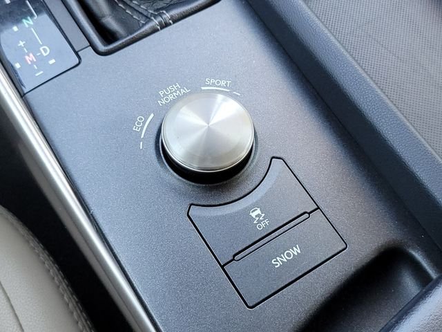 Used 2020 Gray Lexus 300 image 28