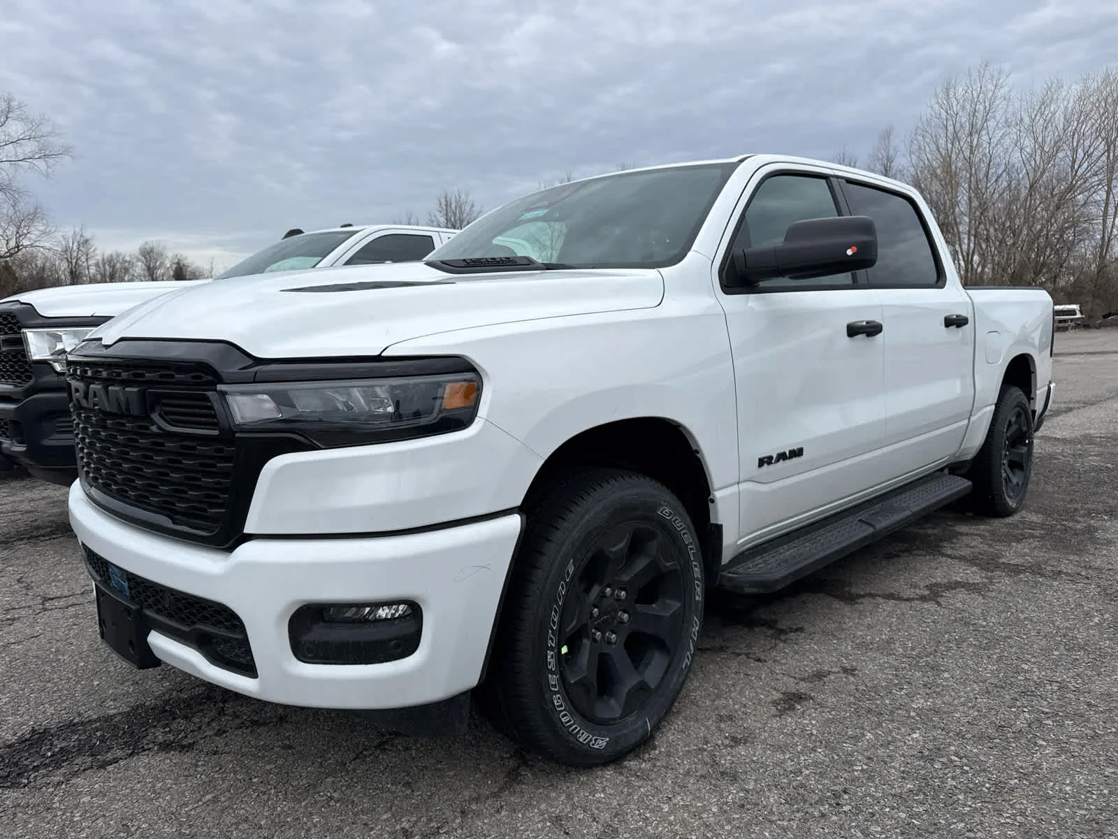 New 2026 Bright White Clear-Coat Exterior Paint RAM Express image 3