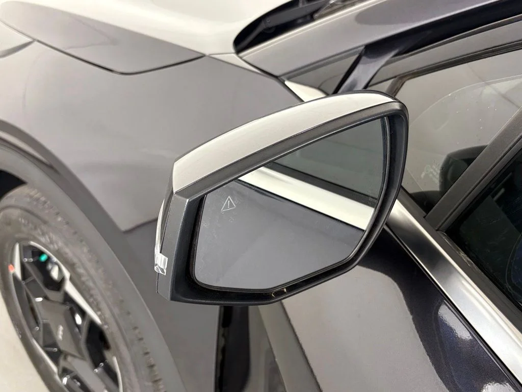 New 2026 Panthera Metal Kia EX image 13