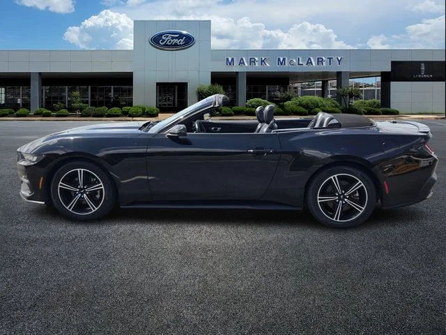 Used 2024 Black Ford EcoBoost Premium image 2