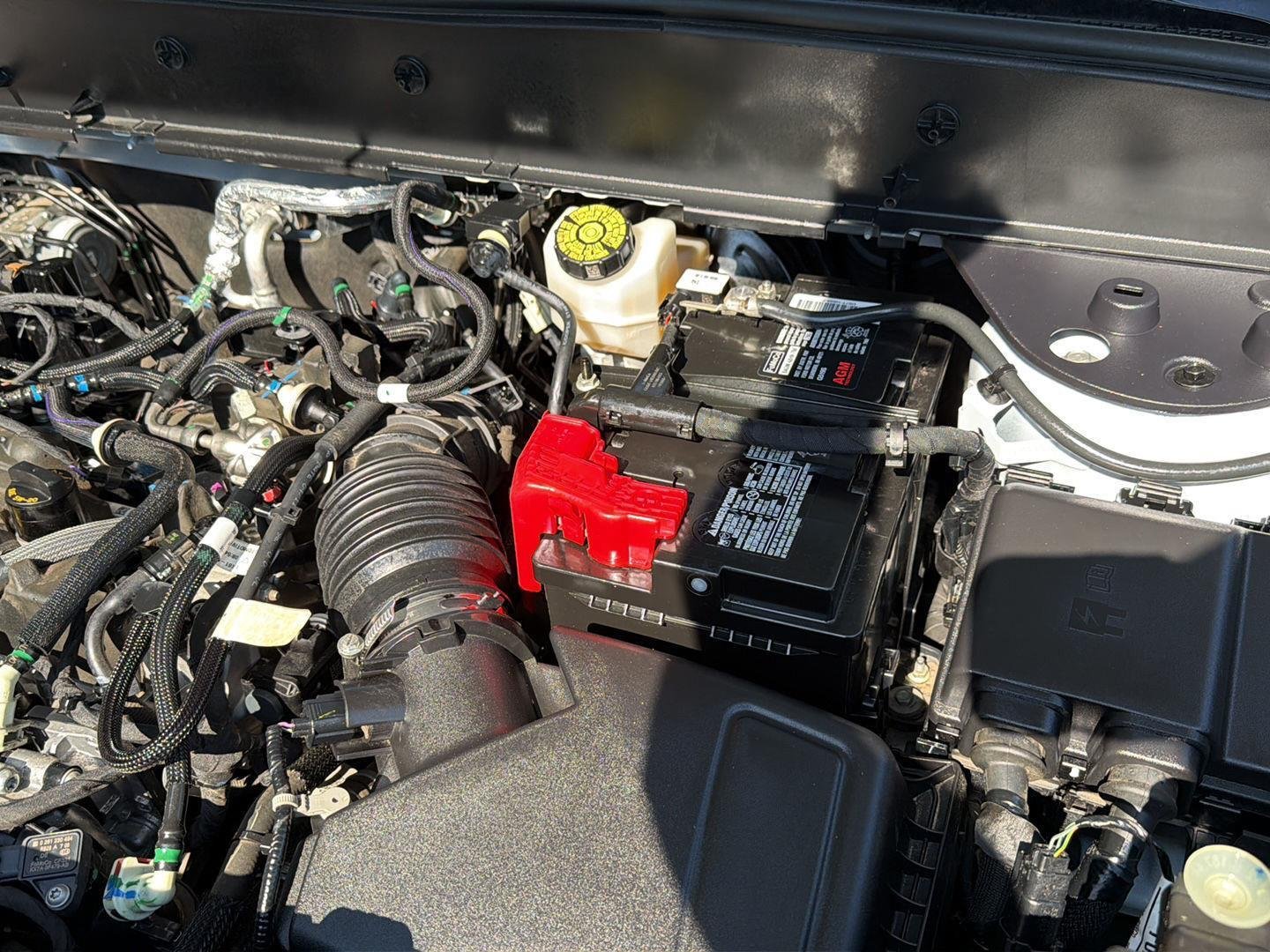 Used 2024 Oxford White Ford Big Bend image 34