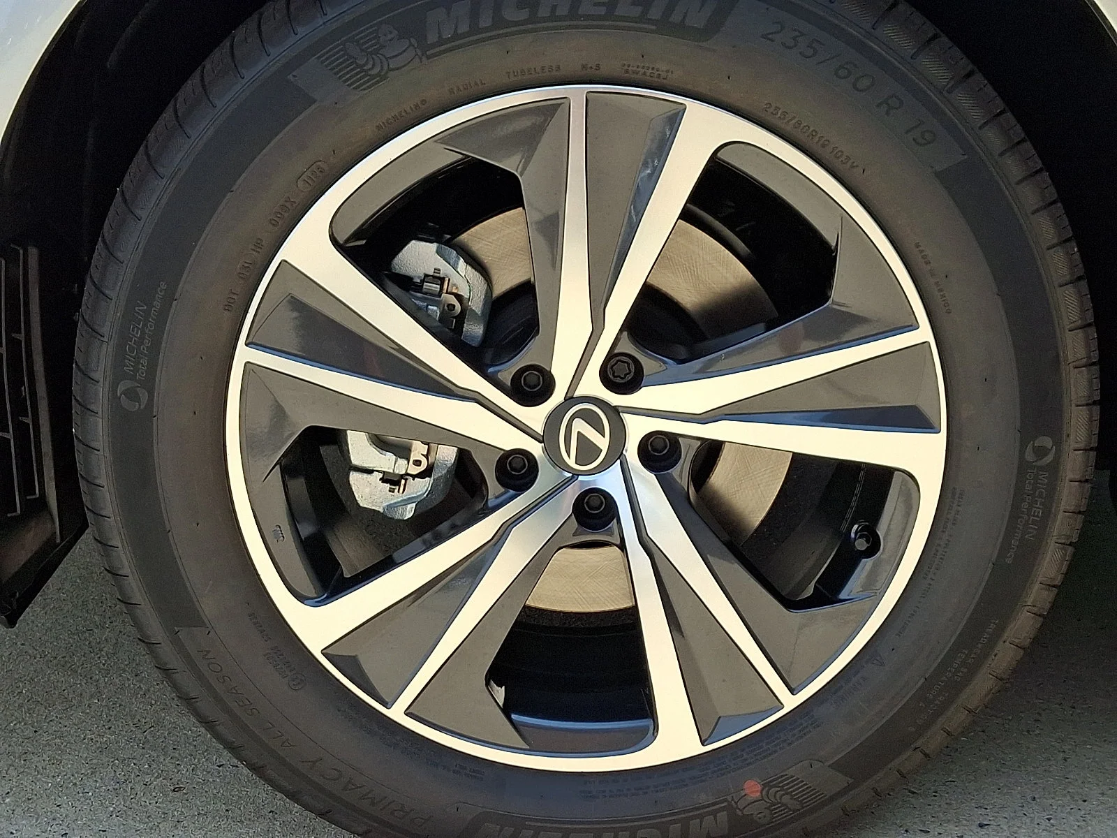 New 2026 Iridium Lexus PREMIUM image 5