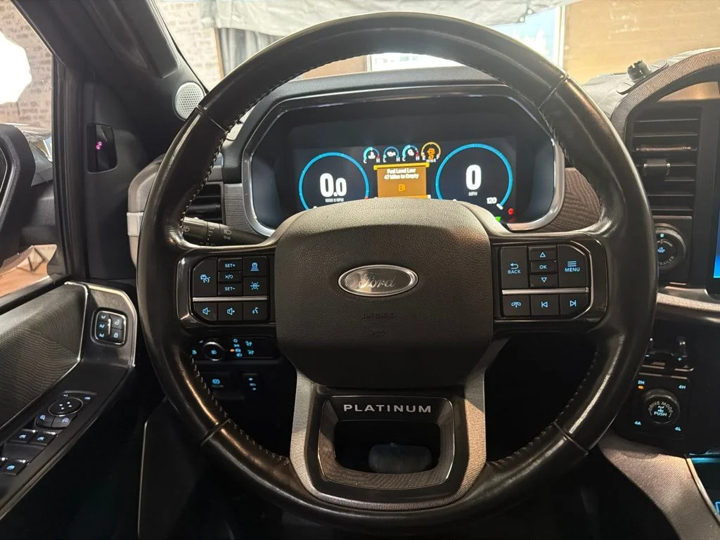 Used 2021 Guard Metallic Ford Platinum image 19