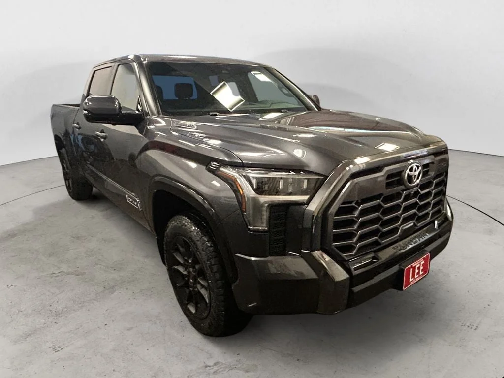 New 2026 Magnetic Gray Metallic Toyota Platinum image 7