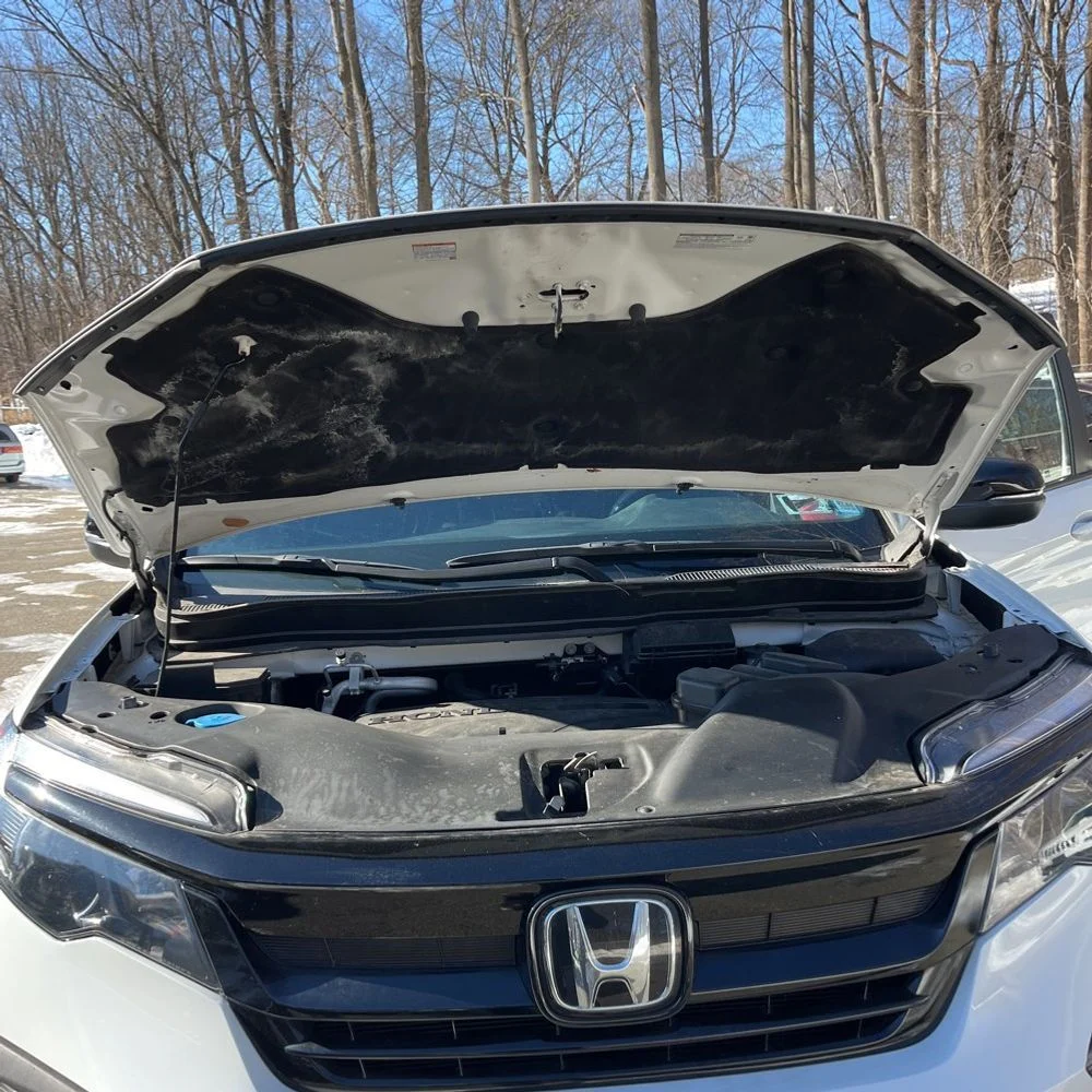 Used 2022 White Honda Sport image 33