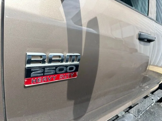 Used 2010 Tan Ram ST image 37