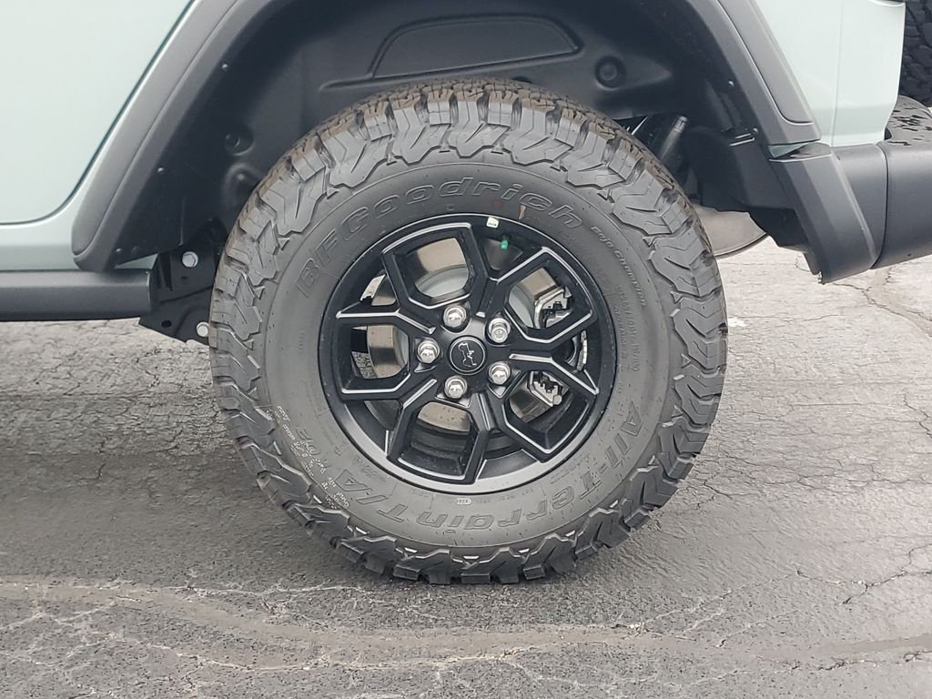 New 2026 Earl Clearcoat Jeep Willys image 5