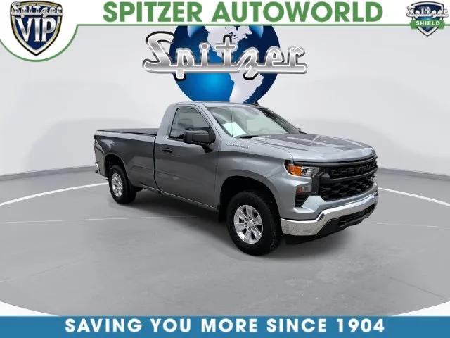 Used 2025 Gray Chevrolet WT image 4